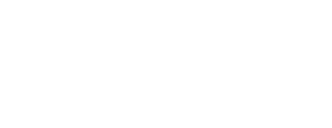 FLASH SEMINAR